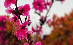 免费看啪啪人A片AAA片